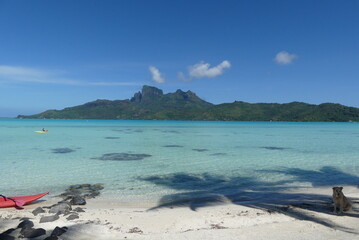 Fototapeta na wymiar trip to french polynesia. discovery of Tahiti and these islands