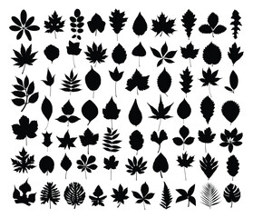 A set of silhouettes leaves of trees and shrubs.
