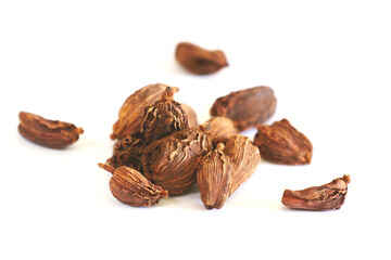 Black Cardamom