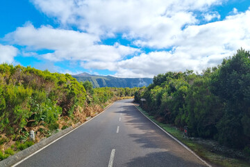 Fototapeta na wymiar A picturesque road along the green vegetation on a tropical island.