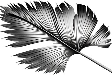monochrome palm leaf with intricate details. Generative AI