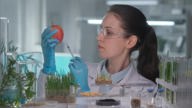Skilled woman geneticist examining red apple and injects pesticides into it with a syringe. Biological experiment with fruits in the laboratory, educational science experiments. GMO. Close up.