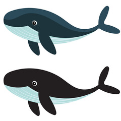 whale with silhouette on white background, vector
