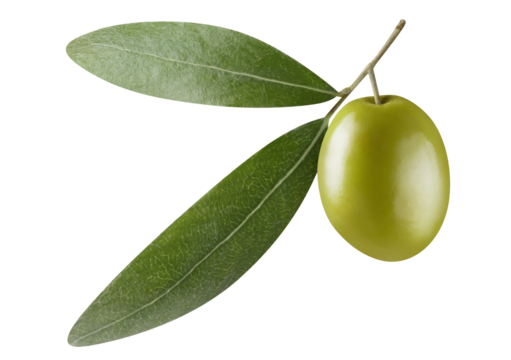 Single green olive with leaves, cut out