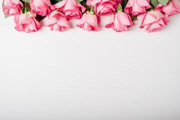 Fresh pink roses in full bloom on white background, flat lay. Blooming flowers with copy space for...