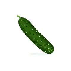 fresh green cucumber vector design illustrations, cucumber icon hand drawn cartoon isolated on white background
