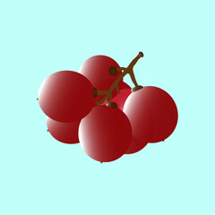 Fresh red Grapes without leaves vector design ripe grapes cartoon fruit icon hand drawn illustrations.