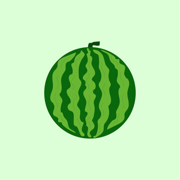 Fresh green watermelon vector design ripe watermelon fruit icon cartoon clipart illustrations.