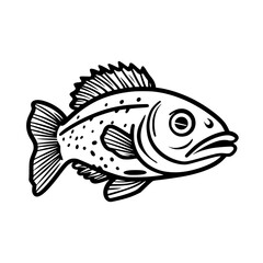 Cod vector illustration isolated on transparent background