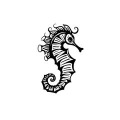 Sea horse vector illustration isolated on transparent background