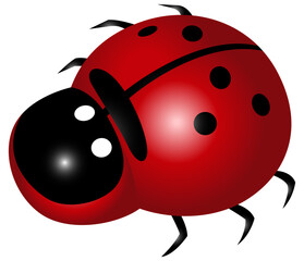 ladybug