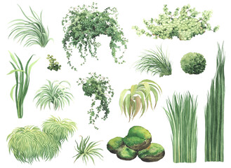 Floral set of green grasses, wild plants, stones with moss, climbing plants and bushes, watercolor isolated illustration for your design textile, nature print, summer cards or wallpapers. - 591810547