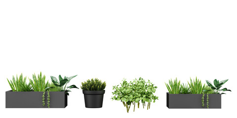 Set of Bold and Beautiful Foliage, Stunning Greenery, Without Backgrounds for digital composition, illustration, architecture visualization