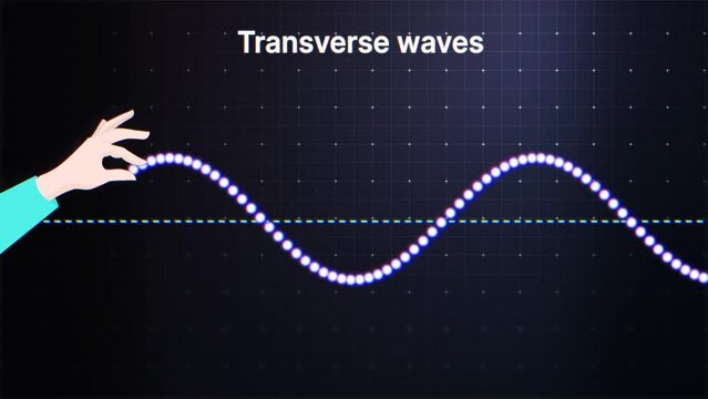 Transverse Waves Animation. Longitudinal Wave Generation. Amplitude, Crests, Troughs and Wavelength. Physics. 4K
