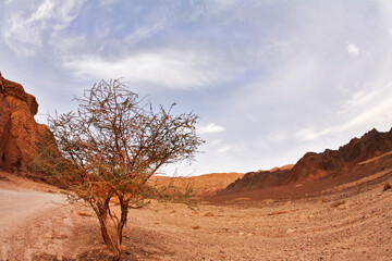 Dramatic Black canyon in Israel