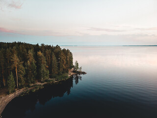 Breathtaking high-angle view of a dense forest next to a vast dark lake