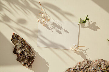 Minimalistic stationery card mock up among tree bark. Aesthetic layout under sunny shadows with...