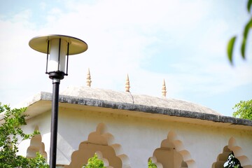 Beautiful green forest scenery within the urban landscape
