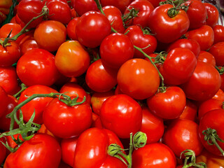 真っ赤な採れたて新鮮トマト