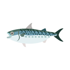 ゴマサバ。フラットなベクターイラスト。
Blue mackerel. Flat designed vector illustration.