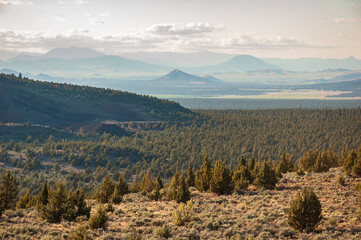 Overlook of Hills at Shasta-Trinity National Forest