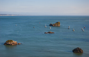 The Pacific Coast on a Summer Morning at Trinidad Bay