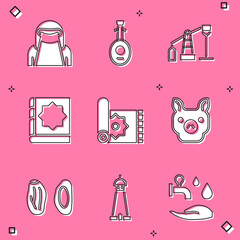 Set Muslim woman in niqab, Lute, Oil pump or pump jack, Holy book of Koran, Traditional carpet, Pig, Date fruit and Mosque tower minaret icon. Vector