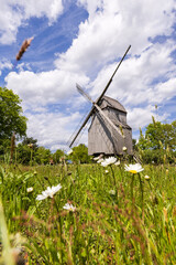 Historische Bockwindmühle in Oppenwehe, Stemwede, Mühlenkreis Minden-Lübbecke