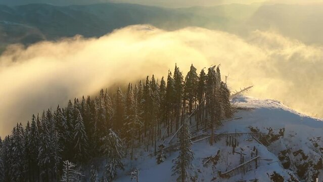 Scenic foggy winter landscape in Cozia National Park, Romania