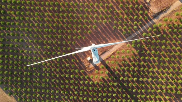 Aerial top view of a wind turbine over an almond agricultural field at sunset. Close-up to a Windmill in Wind turbines Farm. Wind farm in the Largest Wind Power Project in Spain, Wind Energy