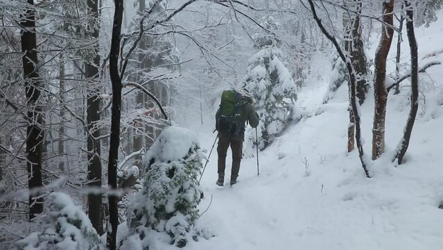 Trekker hiking in the snowy landscapes of Cozia National Park, Romania