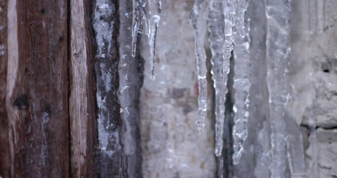 Closeup of melting icicles in spring
