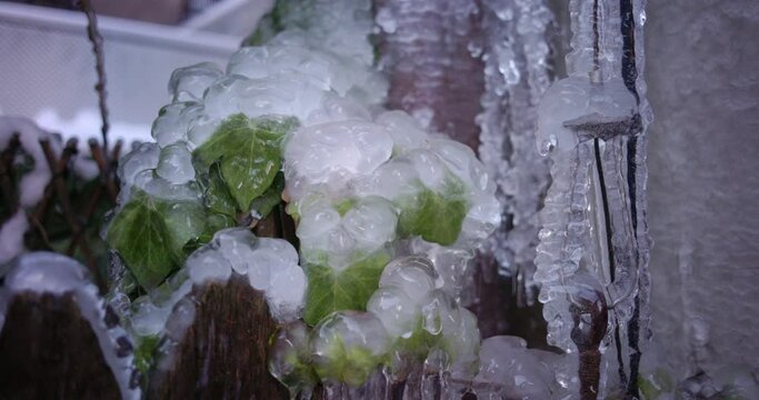 Closeup of melting ice in spring