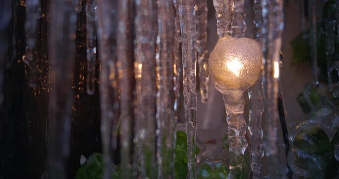 Closeup of melting icicles in spring
