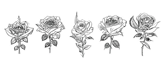 The Five Roses Coloring Book showcases five distinct roses, each with its unique design, portrayed through captivating illustrations.