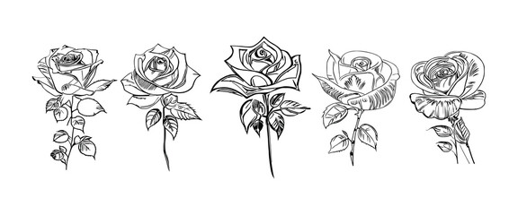 The Five Roses Coloring Book showcases five distinct roses, each with its unique design, portrayed through captivating illustrations.