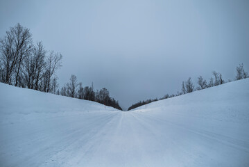 Winter landscape of a road on a cloudy day in muffled colors.