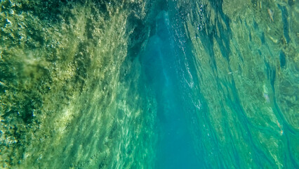 Underwater cave. Marine vegetation in Adriatic Sea. Dalmatia. Croatia. Europe