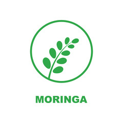 green moringa leaf logo, for herbal ingredients, moringa farming, health, medicine industry, beauty, therapy, concept design vector illustration icon template with a modern concept