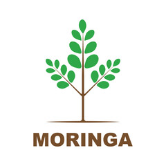 green moringa leaf logo, for herbal ingredients, moringa farming, health, medicine industry, beauty, therapy, concept design vector illustration icon template with a modern concept
