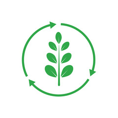 green moringa leaf logo, for herbal ingredients, moringa farming, health, medicine industry, beauty, therapy, concept design vector illustration icon template with a modern concept