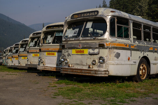 Lineup of old buses left behind by the mining company