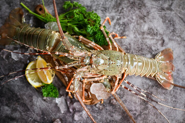 spiny lobster seafood on ice, fresh lobster or rock lobster with herb and spices lemon coriander...