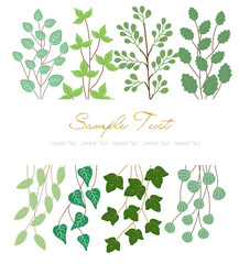 木と蔓の飾り枠 ボタニカル 植物 フレーム