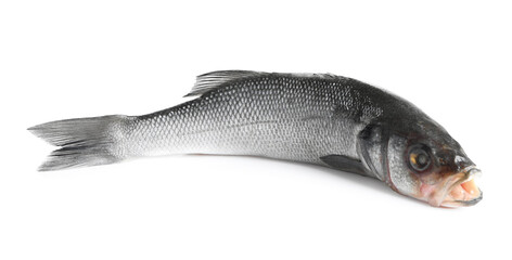 Fresh sea bass fish isolated on white