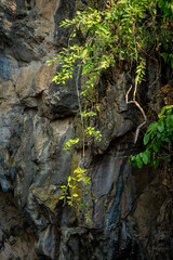 Tham Khao Luang Cave , beautiful mountain historic temple cave during morning at Phetchaburi province , Thailand : 12 April 2023