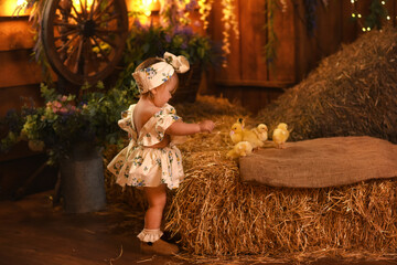 Beautiful little girl playing with ducklings and chicks
