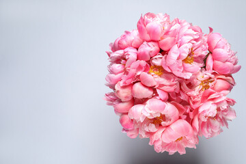 Beautiful pink peonies against white background, top view. Space for text