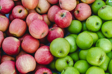Red and green apples with water droplets make them fresh and look very juicy.