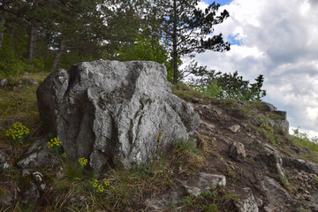 Closeup shot of a big stone in the middle of trail